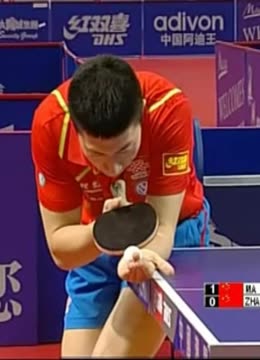 假赛风险迫 假赛风险迫