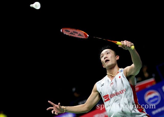 导语与小结 导语与小结